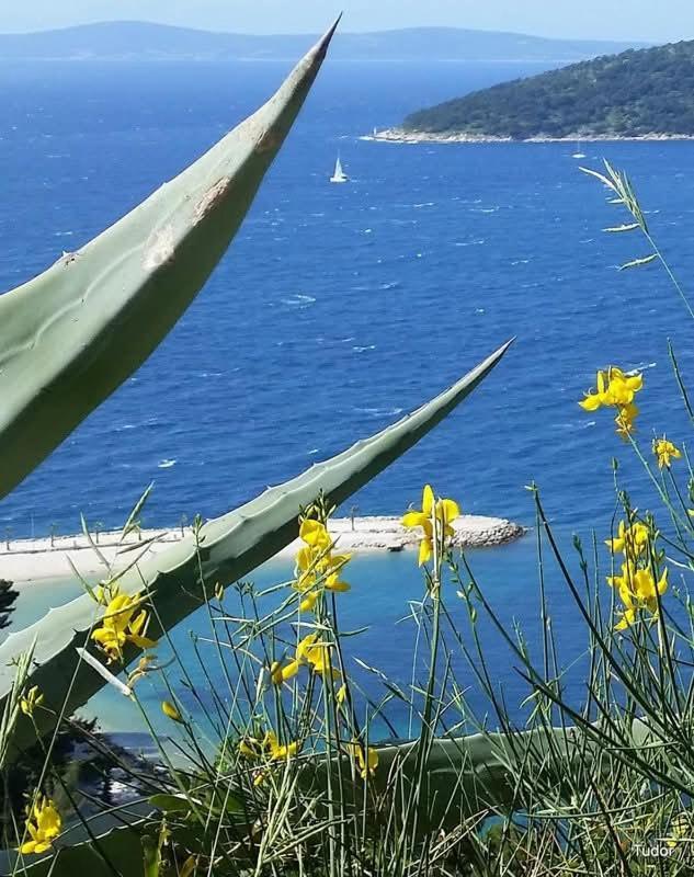 Apartments Slavica トロギール エクステリア 写真